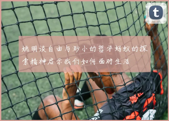 姚明谈自由与渺小的哲学蚂蚁的探索精神启示我们如何面对生活
