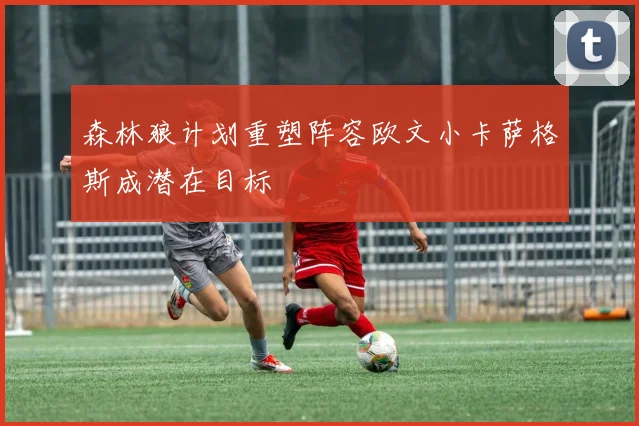 森林狼计划重塑阵容欧文小卡萨格斯成潜在目标